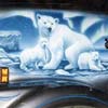 Polar Bears on Transport